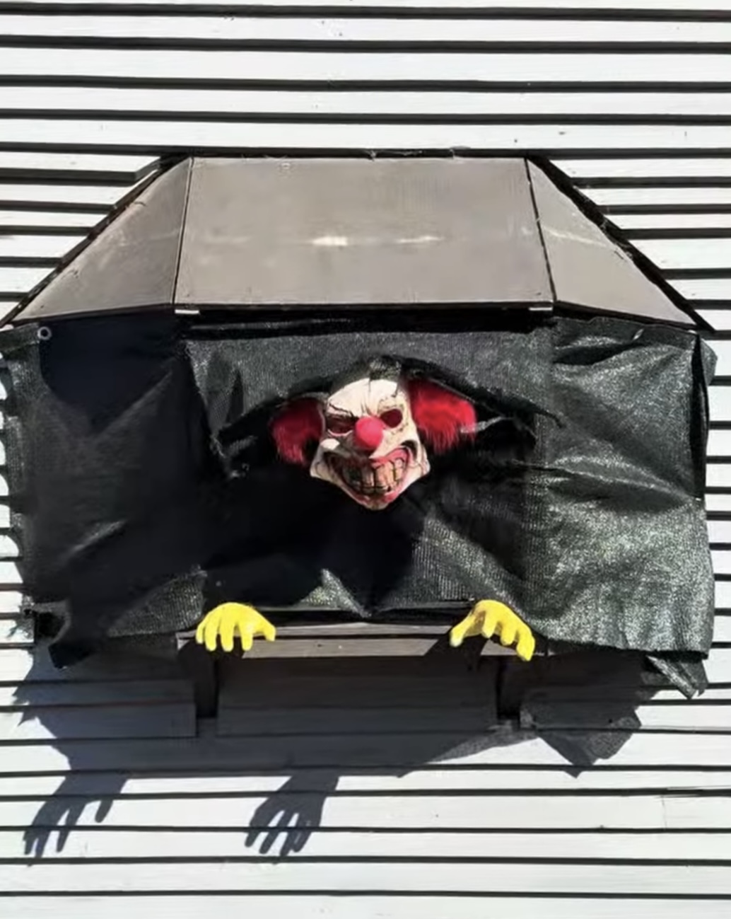 Clown